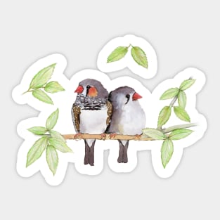 Sweet couple of zebra finches Sticker